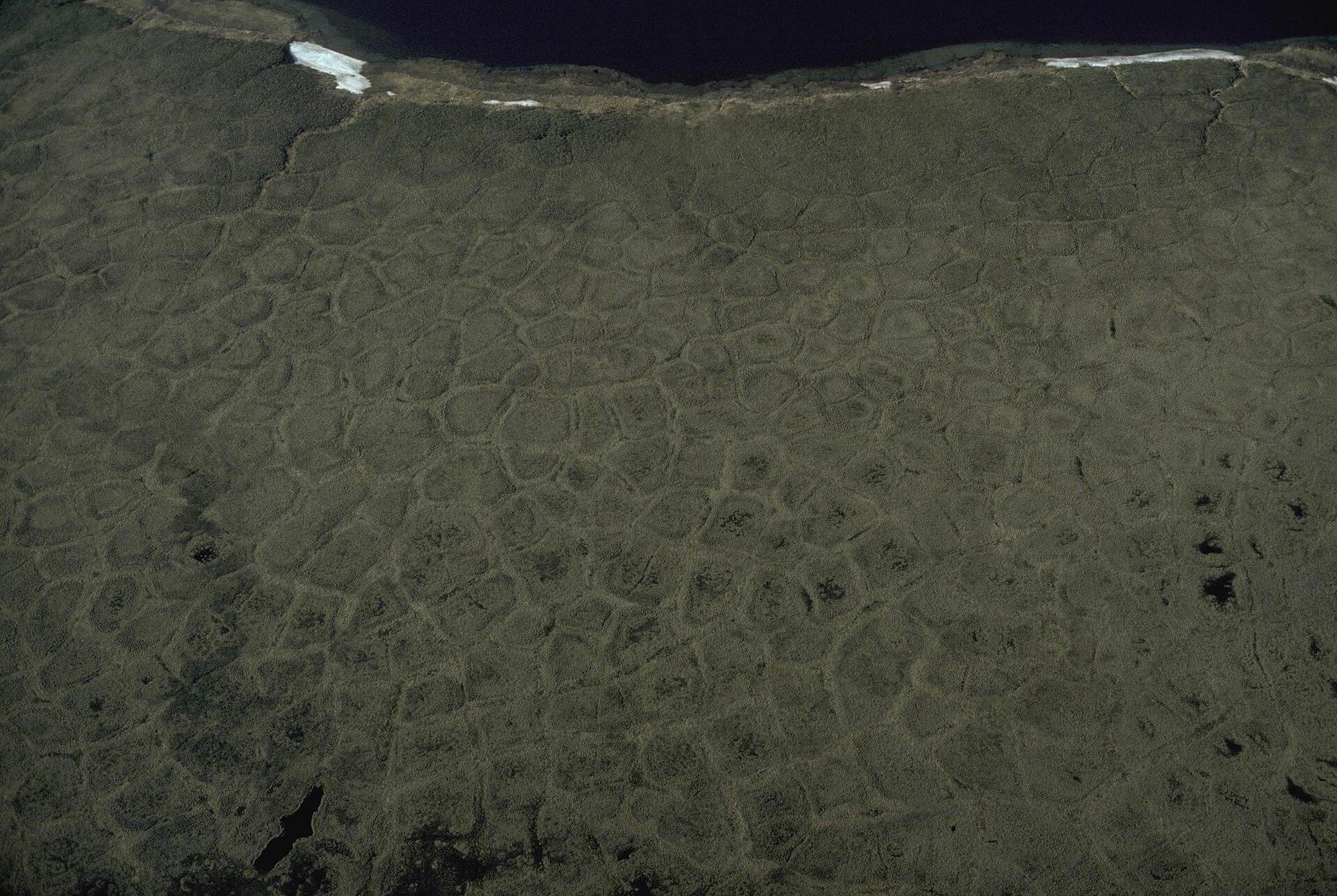 Ice wedges form underground over time and produce polygons on the tundra. The complex patterns are best seen from the air. (c5336f1c 1dd8 b71c 072d 34f5852f454e)