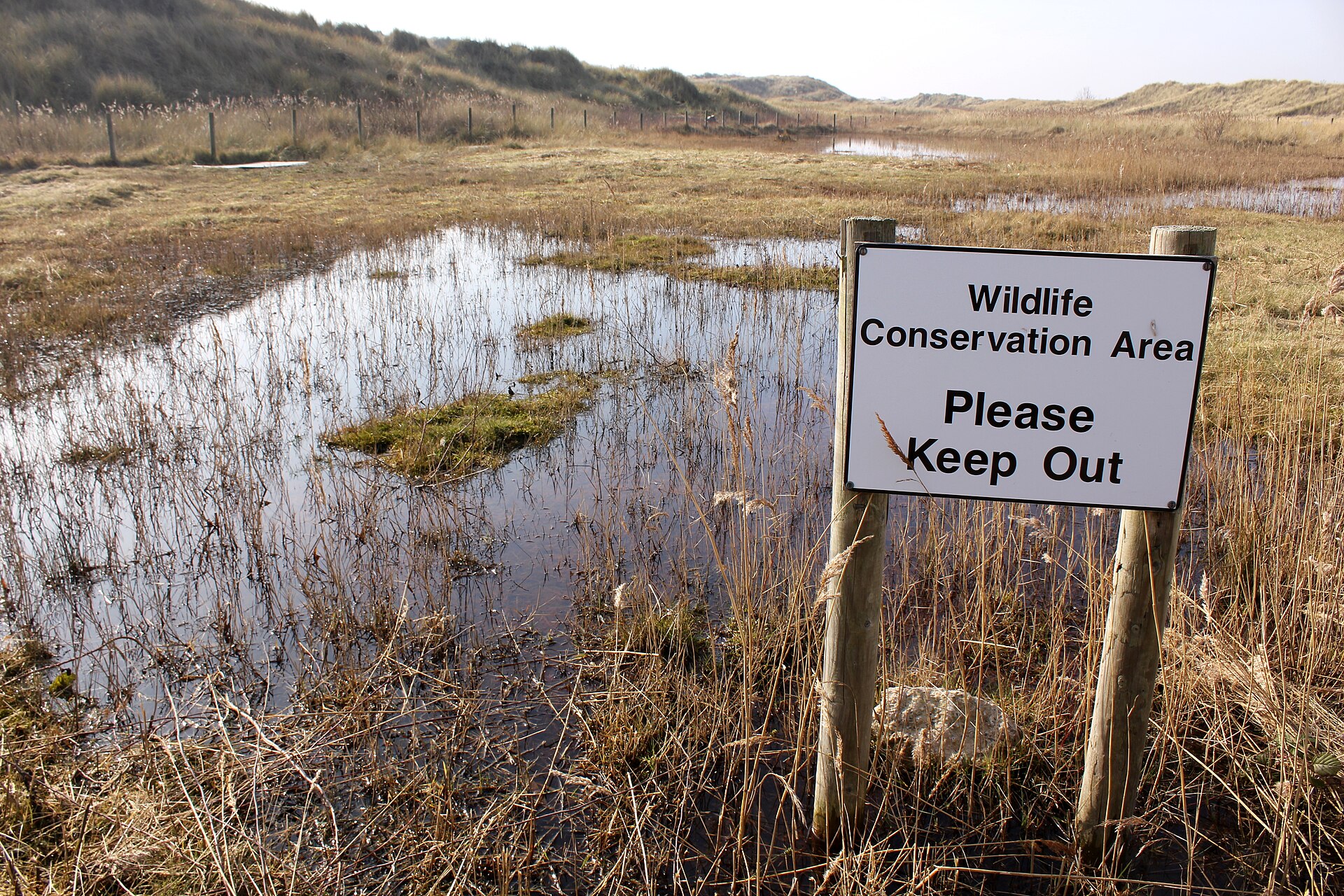 Wildlife Conservation Area at Gronant Dunes SSSI